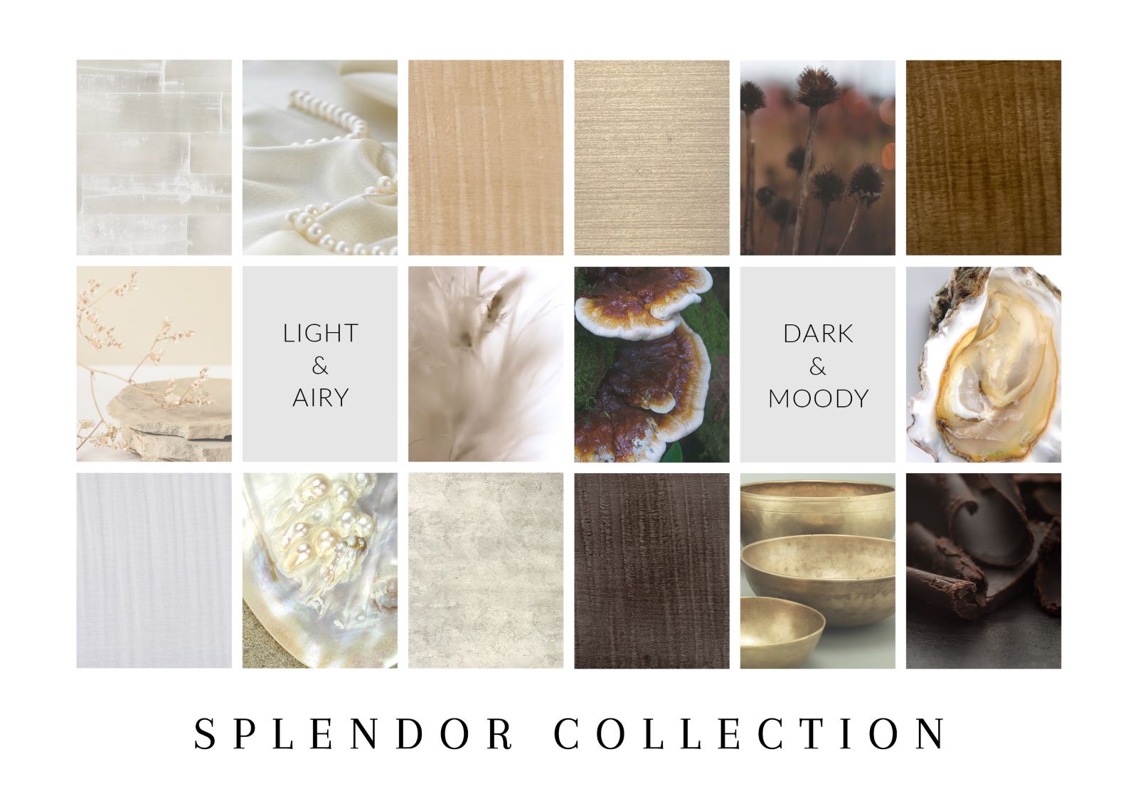 Splendor